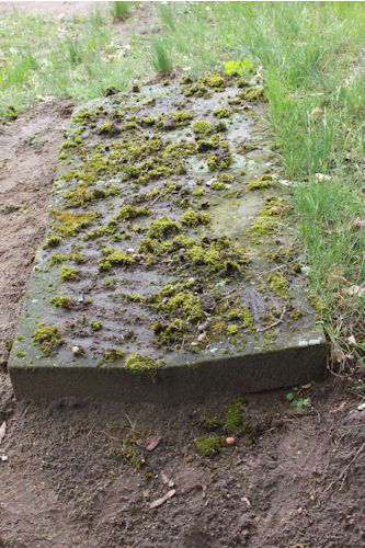 Grabstein Nummer 31 auf dem Friedhof Oderberg