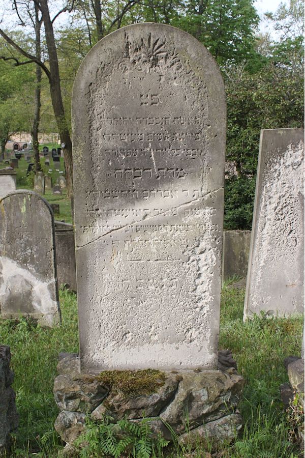 Grabstein Nummer 243 auf dem Friedhof Potsdam