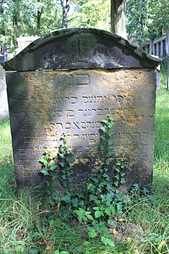 Grabstein Nummer 123 auf dem Friedhof Potsdam