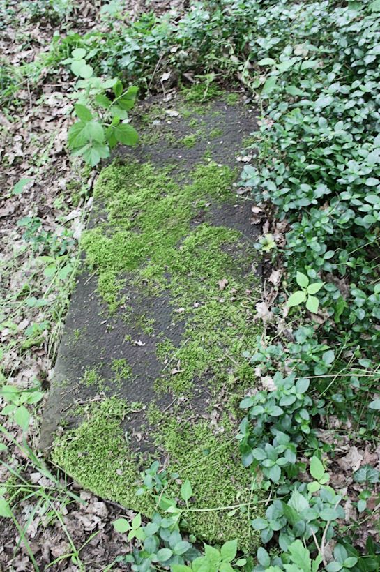 Grabstein Nummer 8 auf dem Friedhof Torzym (Sternberg)