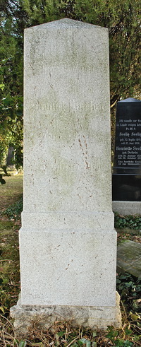 Grabstein Nummer 99 auf dem Friedhof Schwedt