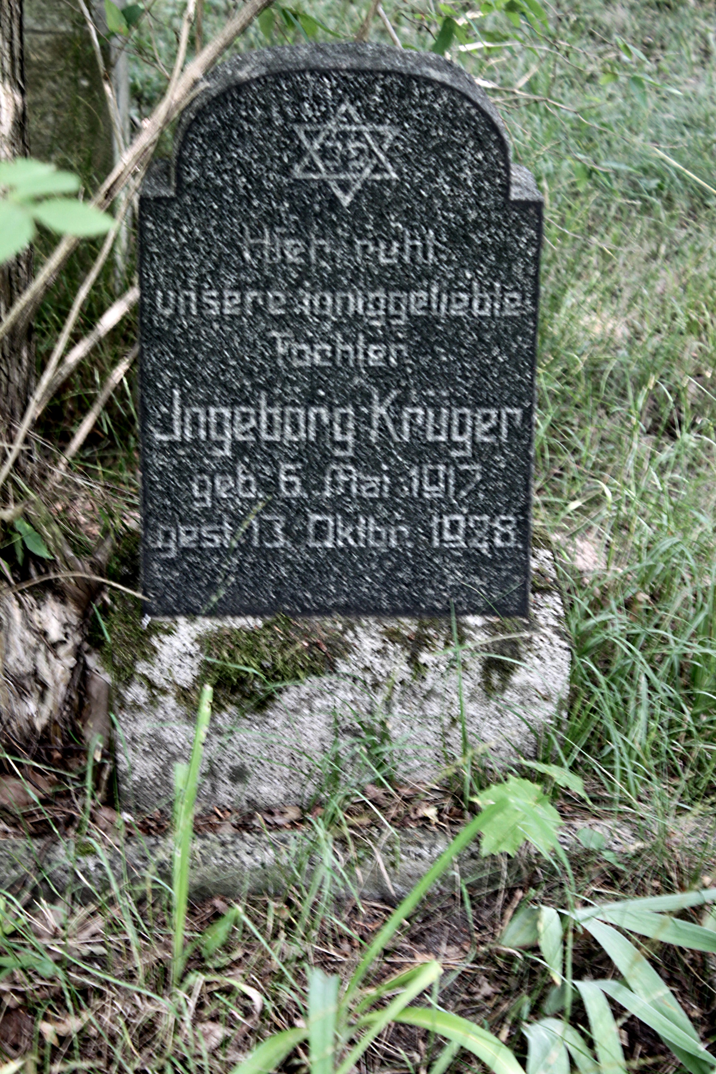 Grabstein Nummer 29 auf dem Friedhof Cottbus 1