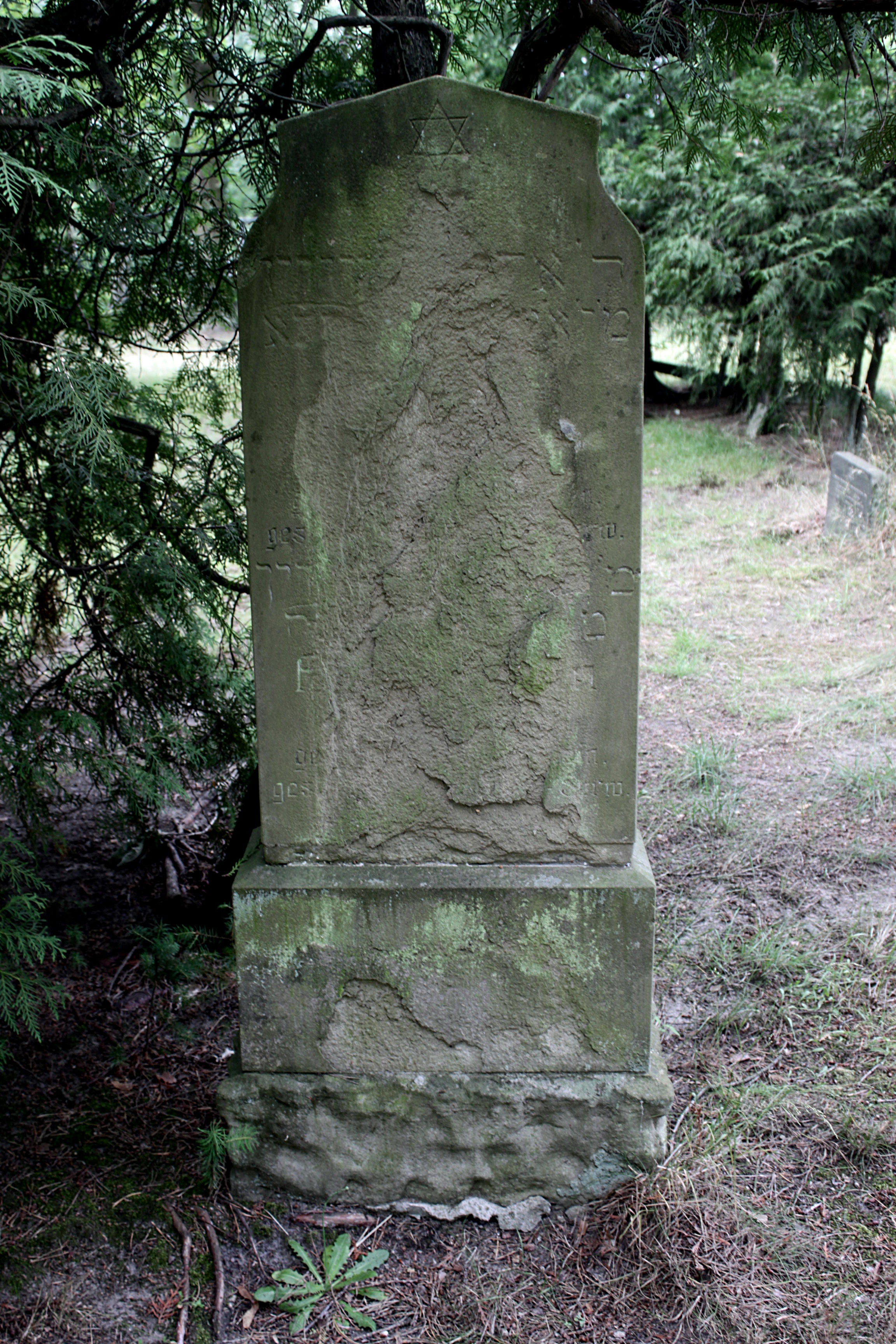 Grabstein Nummer 55 auf dem Friedhof Cottbus 1