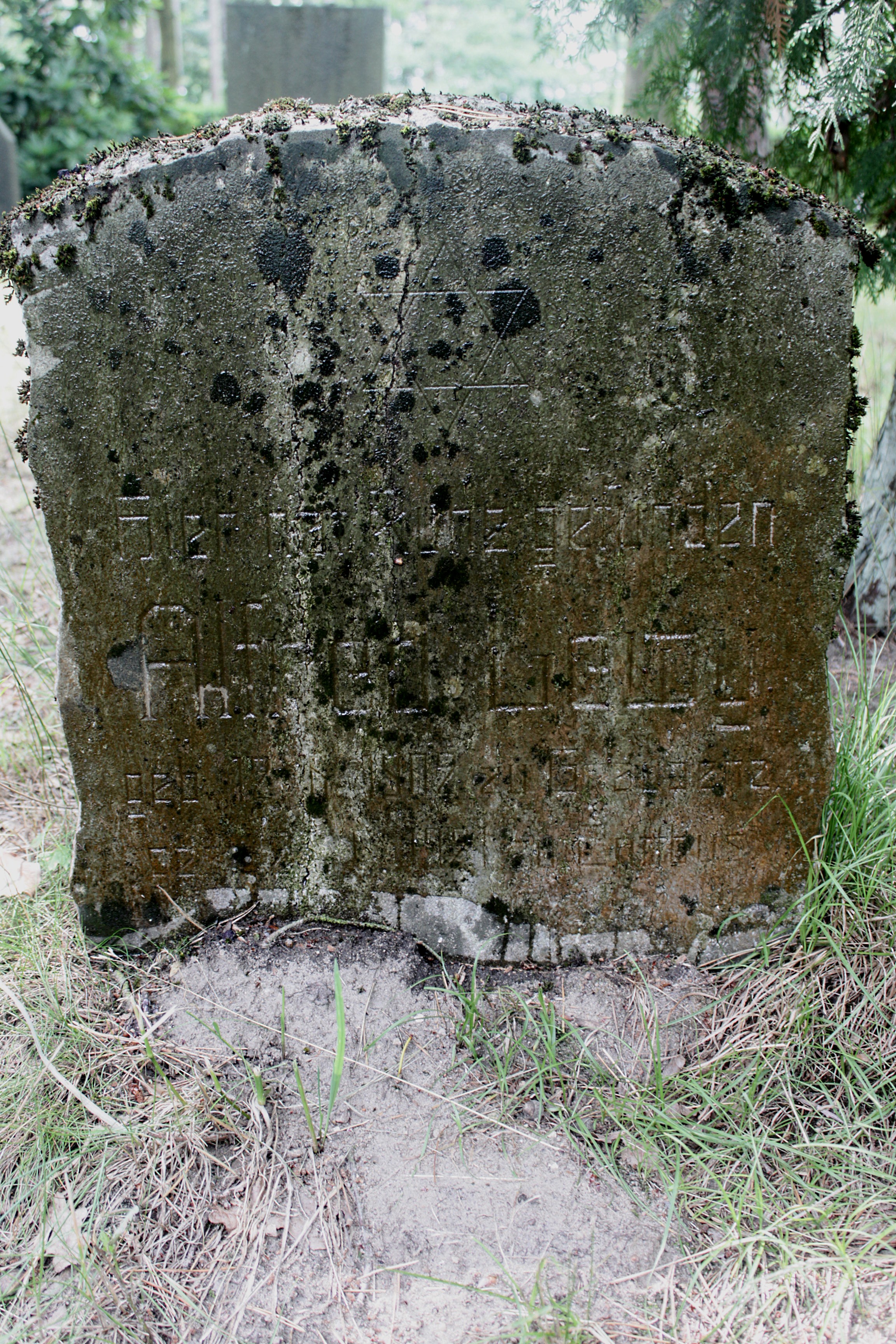 Grabstein Nummer 25 auf dem Friedhof Cottbus 1
