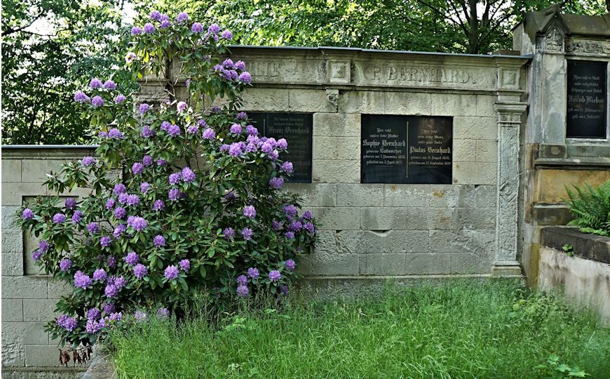 Grabstein Nummer 458 auf dem Friedhof Potsdam