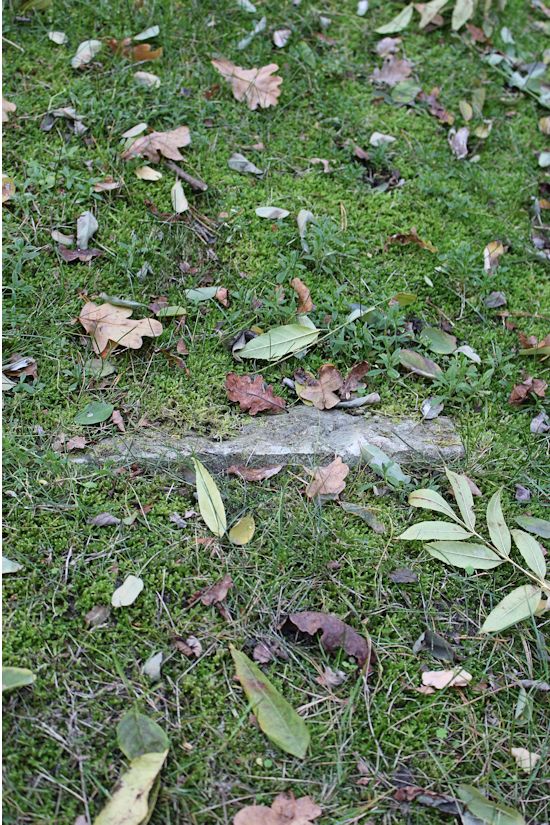 Grabstein Nummer 81 auf dem Friedhof Storkow