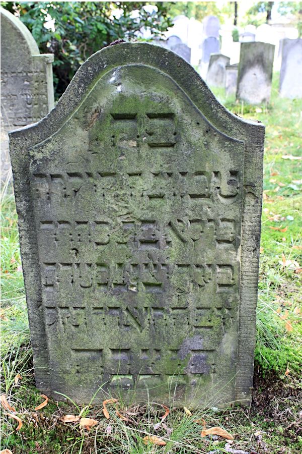 Grabstein Nummer 102 auf dem Friedhof Potsdam