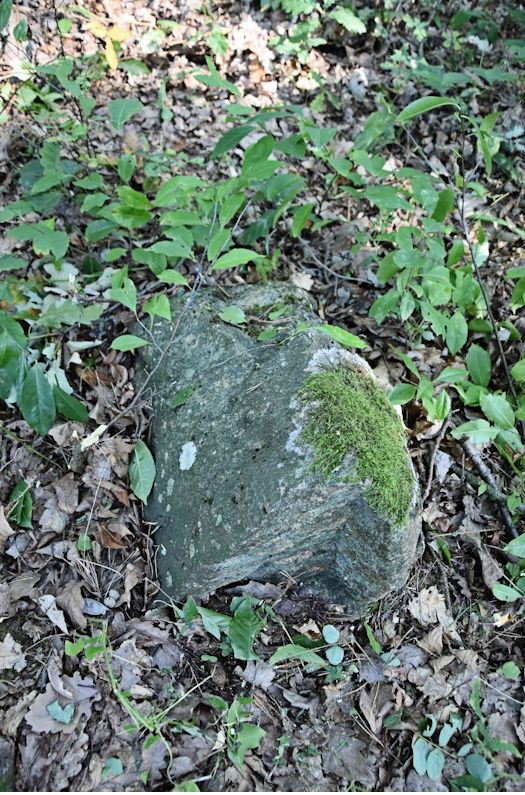 Grabstein Nummer 37 auf dem Friedhof Trzemeszno Lubuskie (Schermeisel)