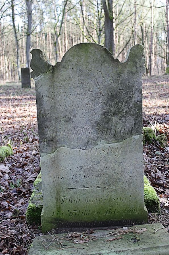 Grabstein Nummer 38 auf dem Friedhof Bledzew (Blesen)