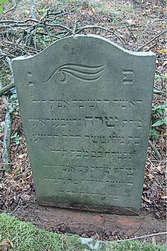 Grabstein Nummer 37 auf dem Friedhof Trzciel (Tirschtiegel)