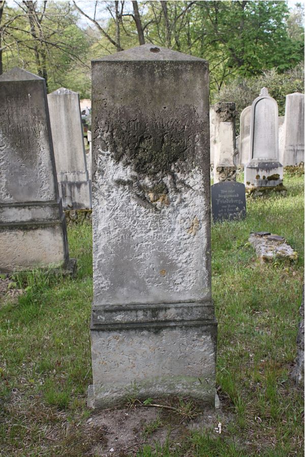 Grabstein Nummer 330 auf dem Friedhof Potsdam
