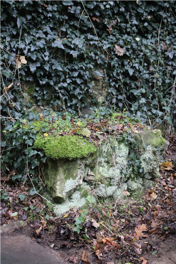 Grabstein Nummer 12 auf dem Friedhof Beeskow