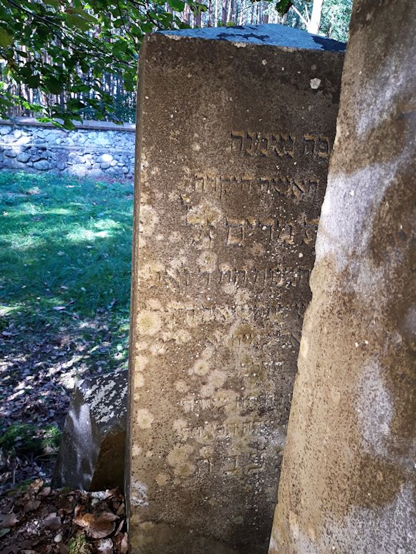 Grabstein Nummer 49 auf dem Friedhof Beeskow