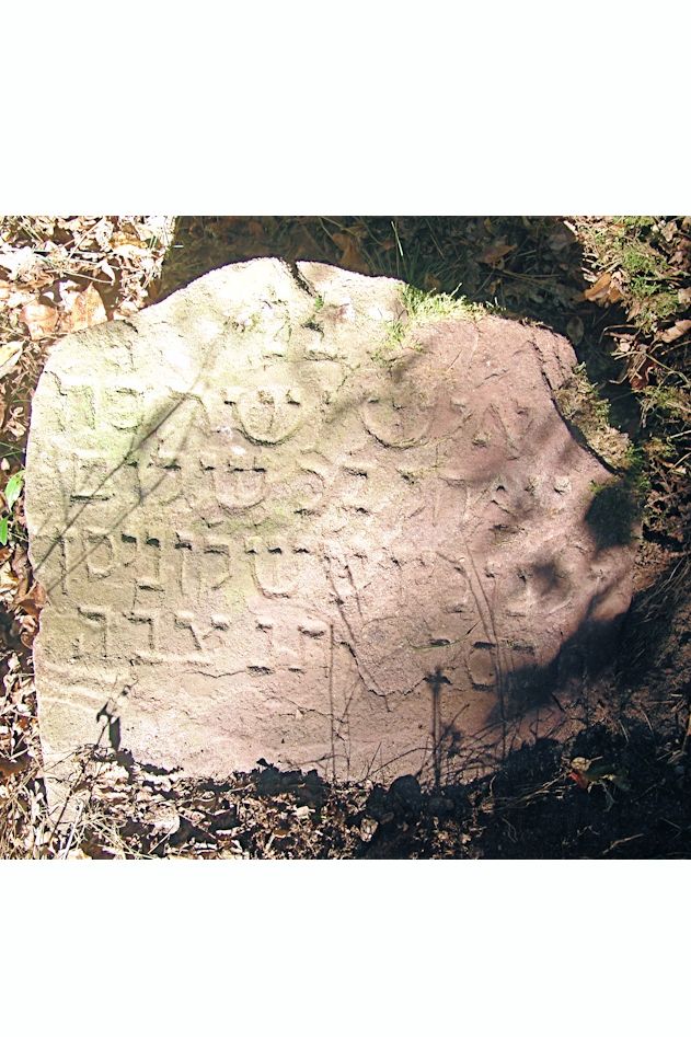 Grabstein Nummer 81 auf dem Friedhof Trzciel (Tirschtiegel)