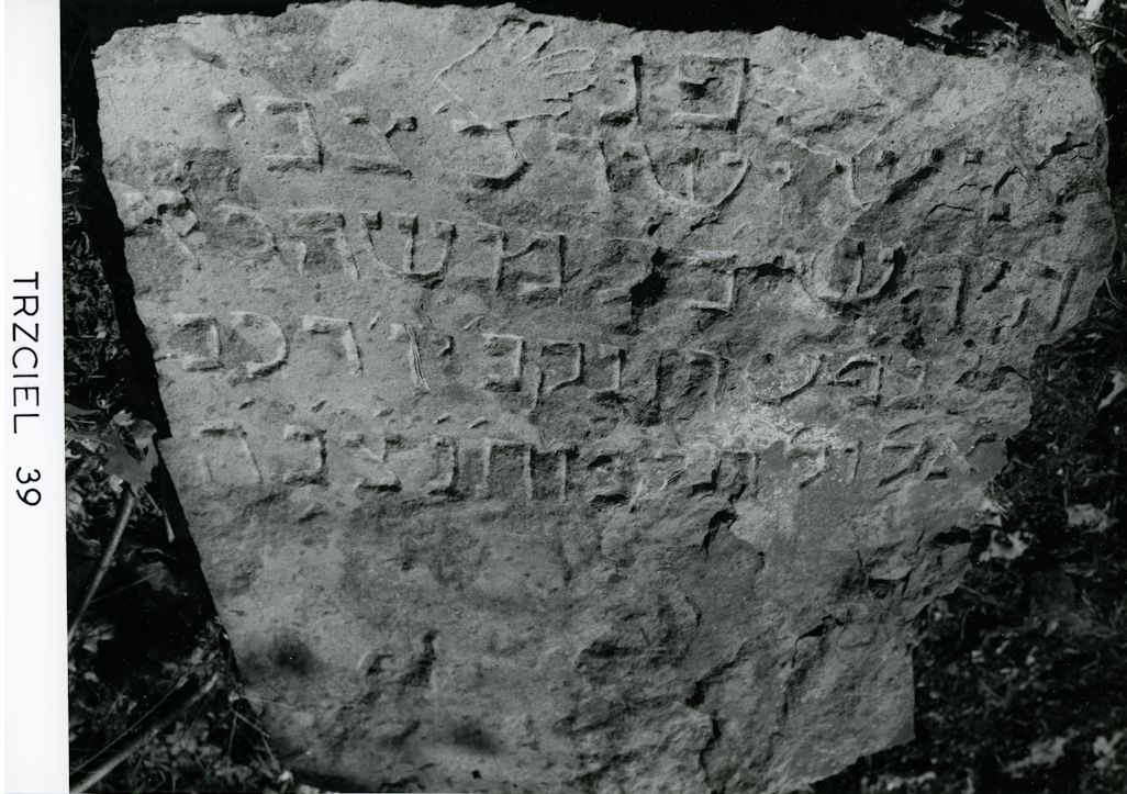 Grabstein Nummer 149 auf dem Friedhof Trzciel (Tirschtiegel)