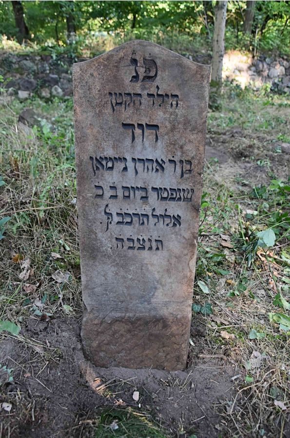 Grabstein Nummer 91 auf dem Friedhof Trzemeszno Lubuskie (Schermeisel)