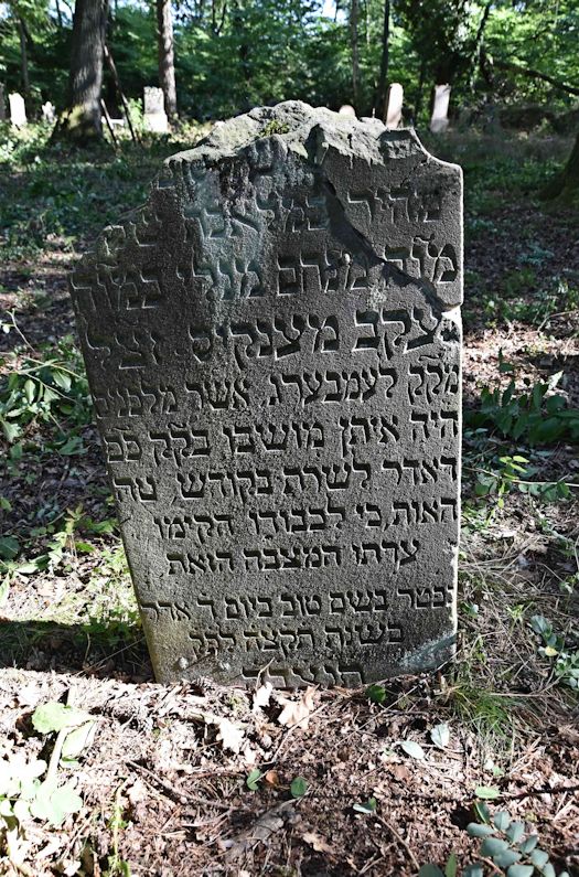 Grabstein Nummer 27 auf dem Friedhof Trzemeszno Lubuskie (Schermeisel)