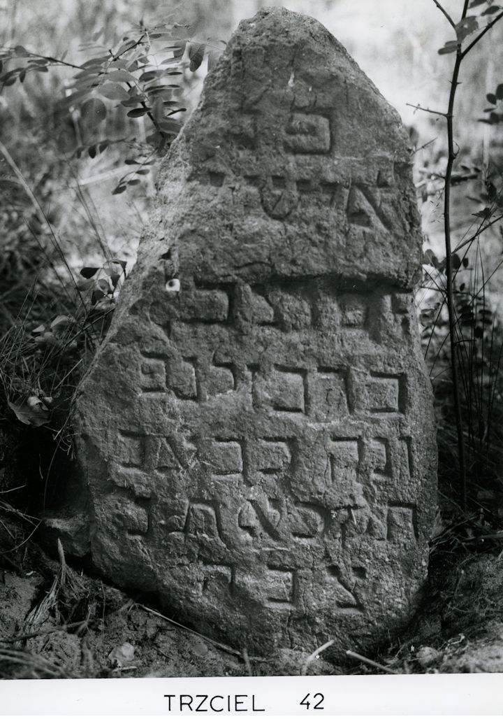 Grabstein Nummer 83 auf dem Friedhof Trzciel (Tirschtiegel)