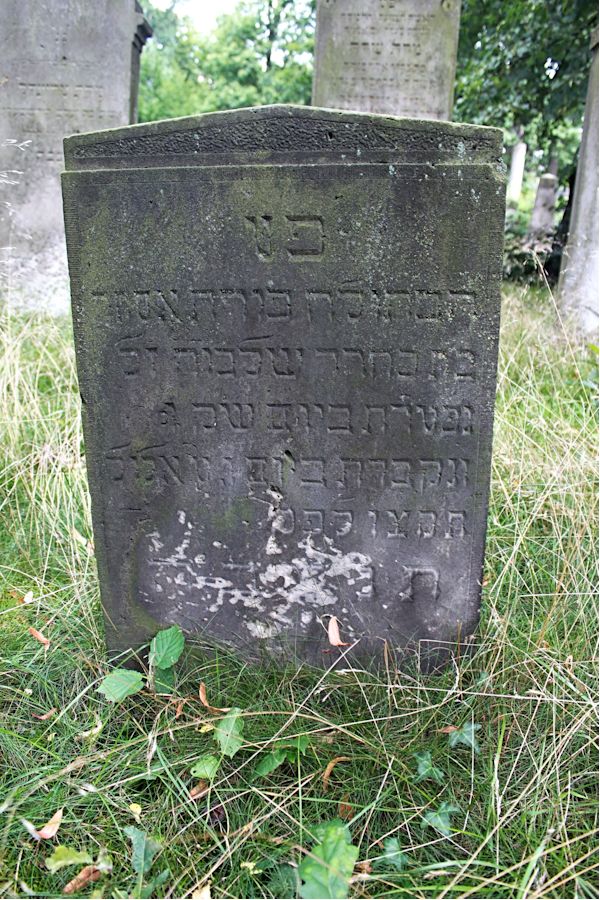 Grabstein Nummer 135 auf dem Friedhof Potsdam