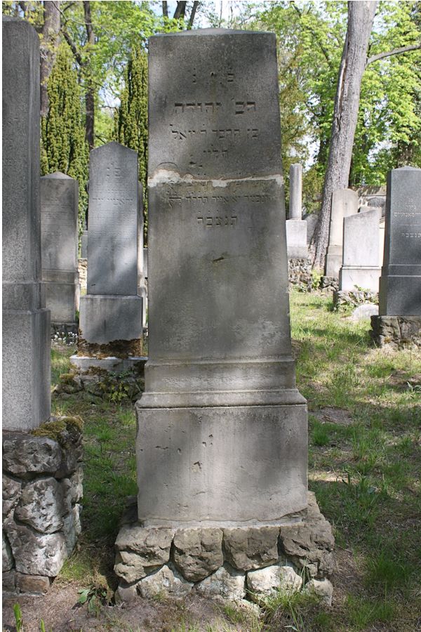 Grabstein Nummer 231 auf dem Friedhof Potsdam