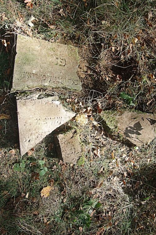 Grabstein Nummer 50 auf dem Friedhof Trzciel (Tirschtiegel)