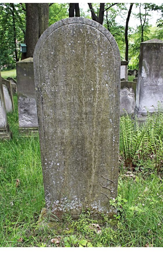 Grabstein Nummer 251 auf dem Friedhof Potsdam