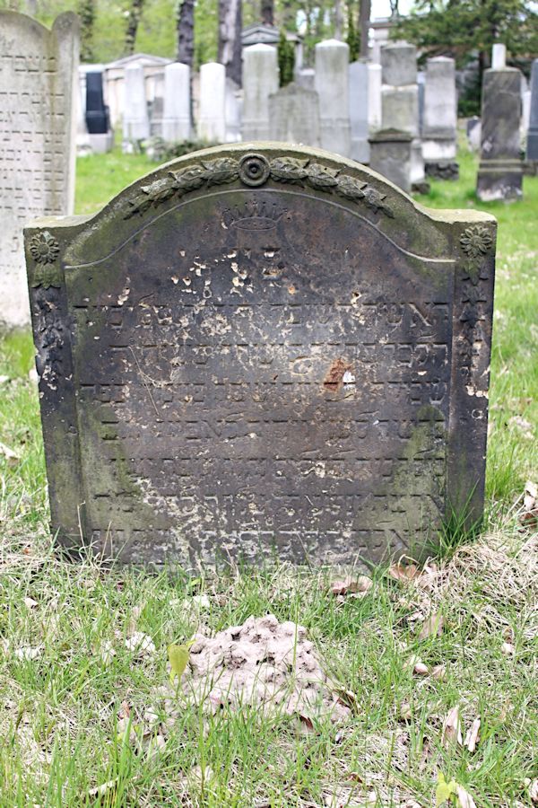 Grabstein Nummer 126 auf dem Friedhof Potsdam