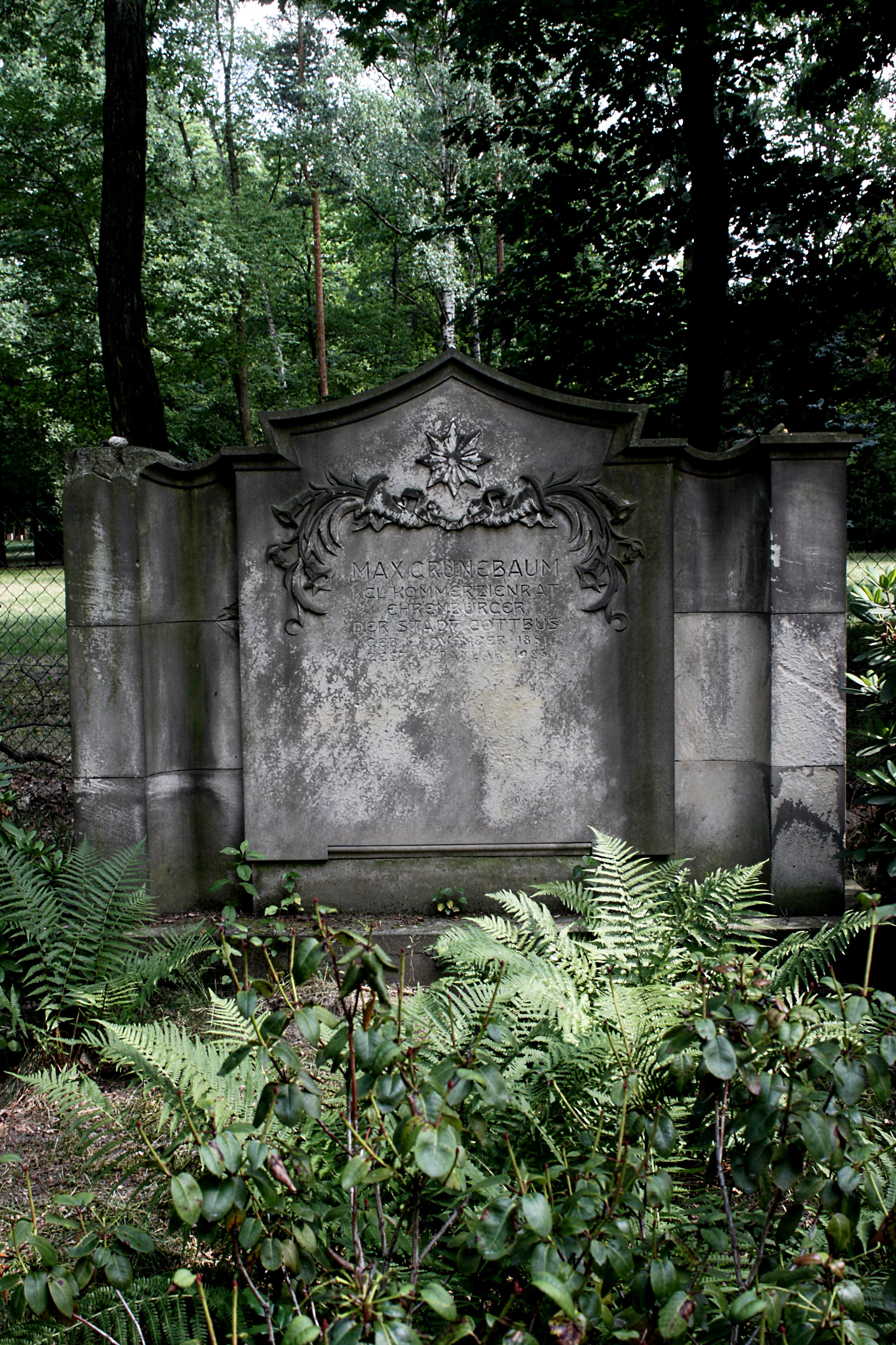 Grabstein Nummer 80 auf dem Friedhof Cottbus 1