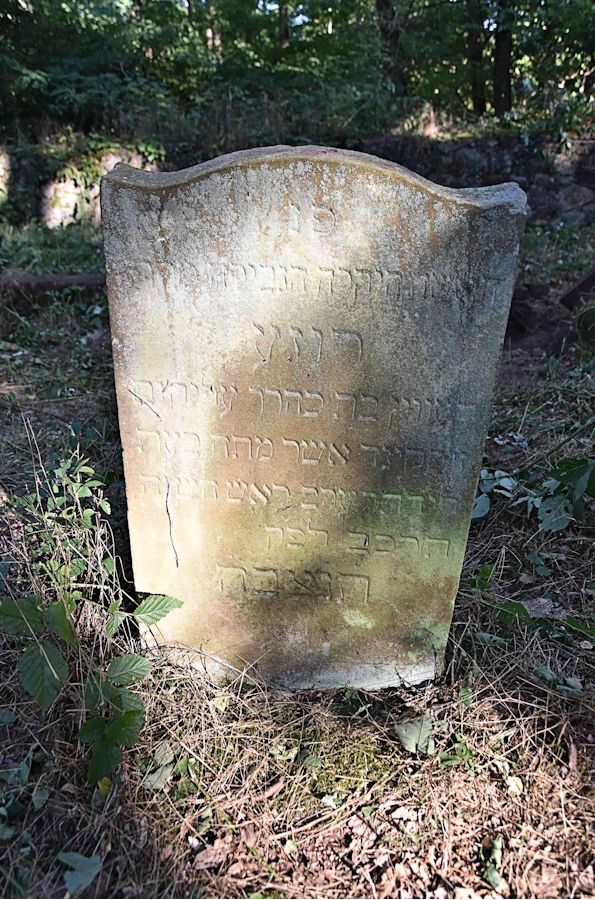 Grabstein Nummer 90 auf dem Friedhof Trzemeszno Lubuskie (Schermeisel)