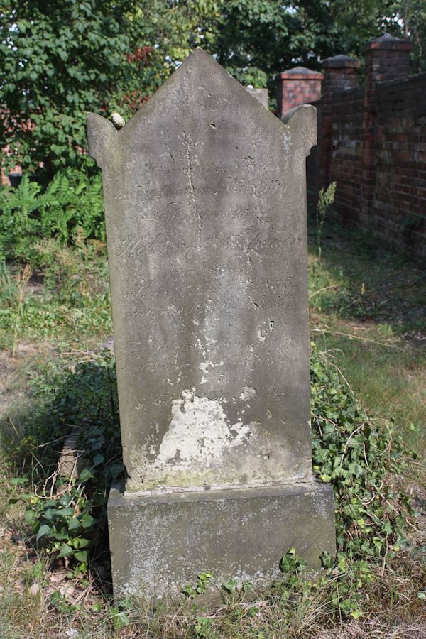 Grabstein Nummer 8 auf dem Friedhof Guben