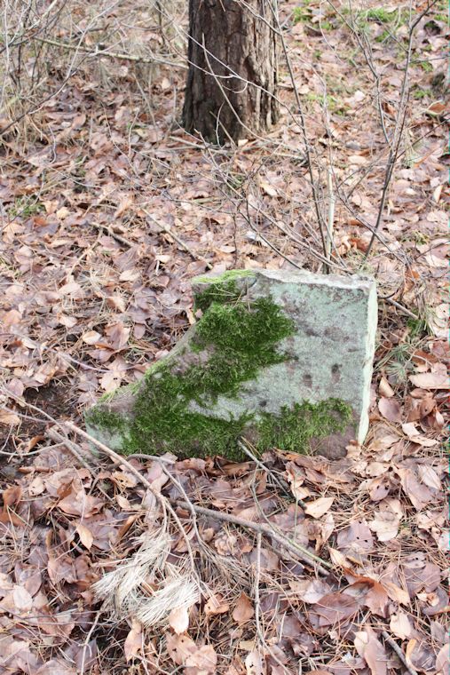 Grabstein Nummer 8 auf dem Friedhof Brójce (Brätz)