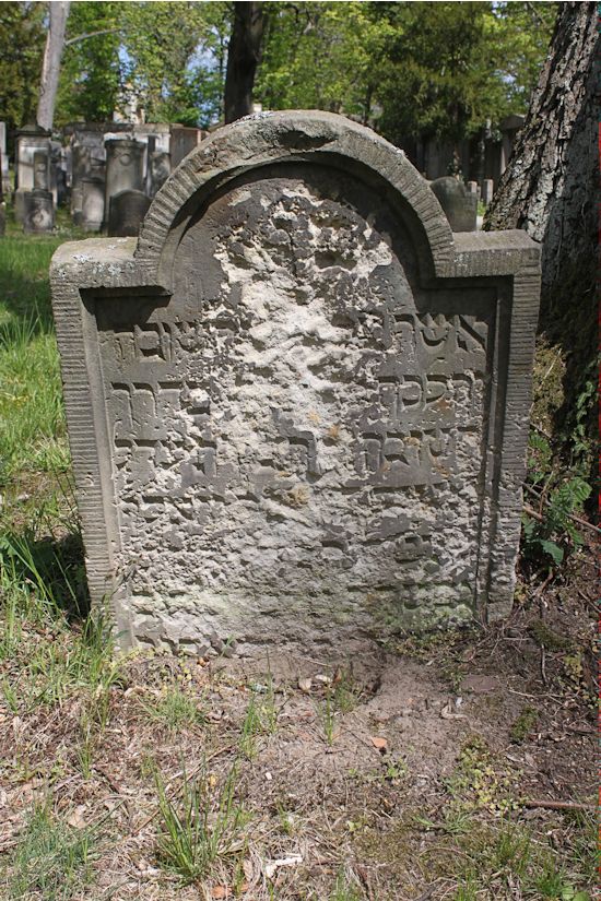 Grabstein Nummer 64 auf dem Friedhof Potsdam