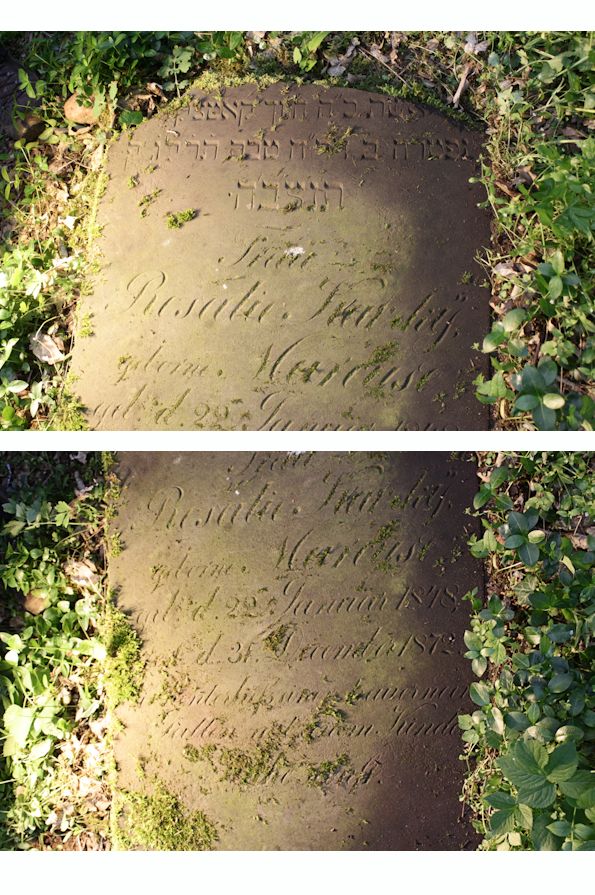Grabstein Nummer 13 auf dem Friedhof Torzym (Sternberg)