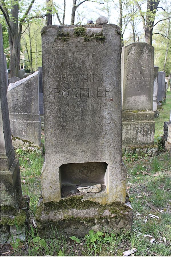 Grabstein Nummer 317 auf dem Friedhof Potsdam