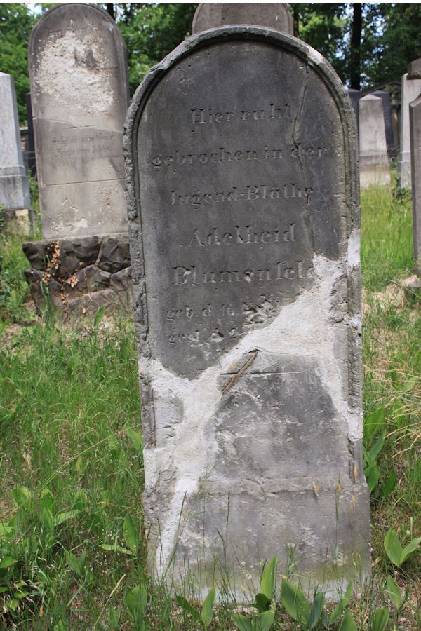 Grabstein Nummer 216 auf dem Friedhof Potsdam