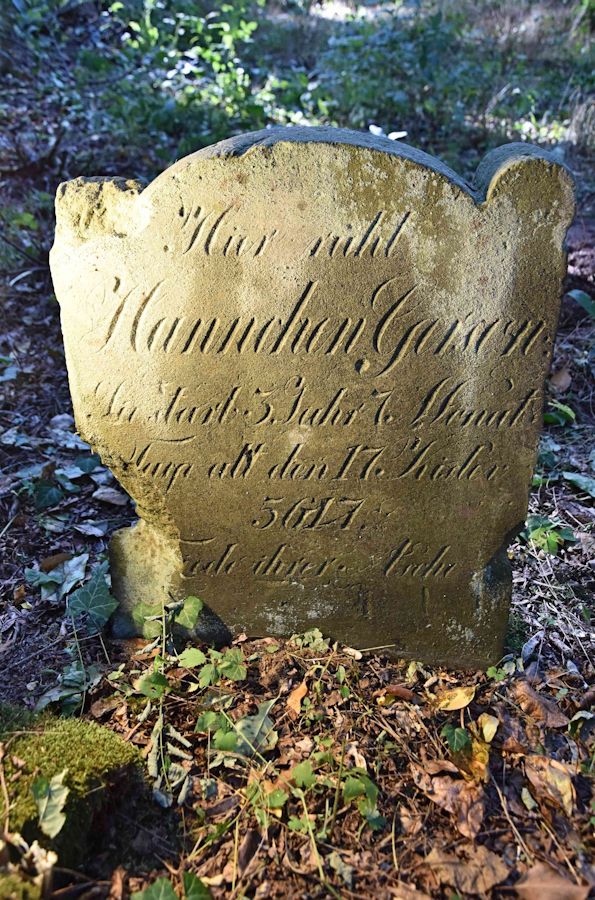 Grabstein Nummer 57 auf dem Friedhof Trzemeszno Lubuskie (Schermeisel)