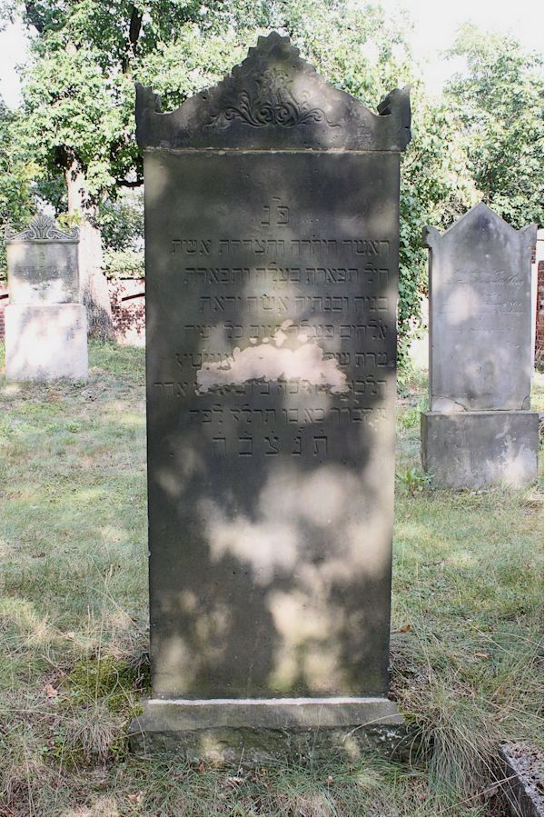 Grabstein Nummer 23 auf dem Friedhof Guben