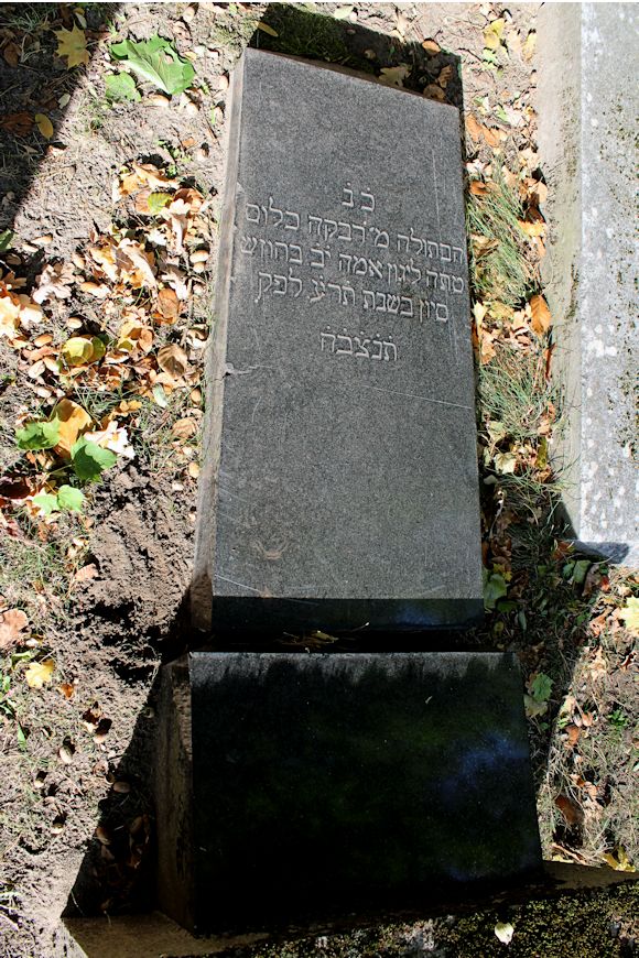 Grabstein Nummer 16 auf dem Friedhof Storkow