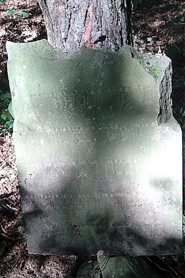 Grabstein Nummer 139 auf dem Friedhof Trzciel (Tirschtiegel)
