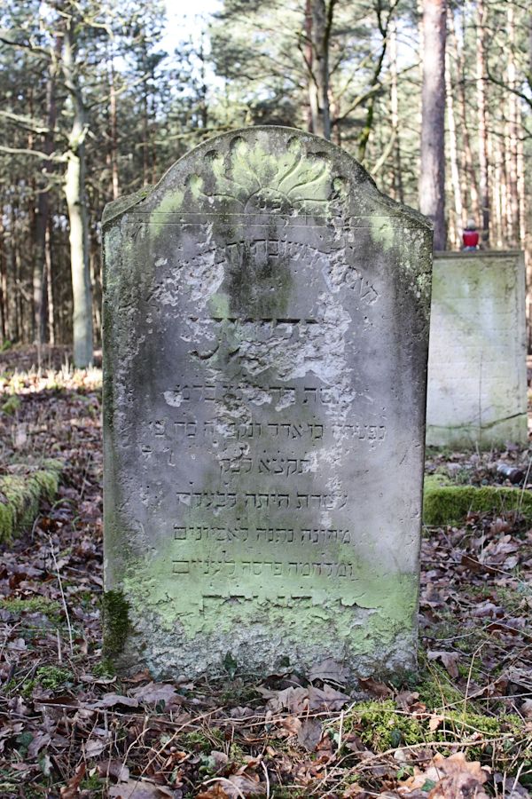Grabstein Nummer 13 auf dem Friedhof Bledzew (Blesen)