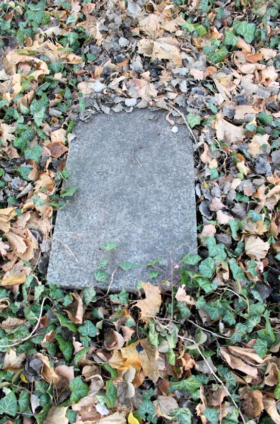 Grabstein Nummer 7 auf dem Friedhof Pszczew (Betsche)