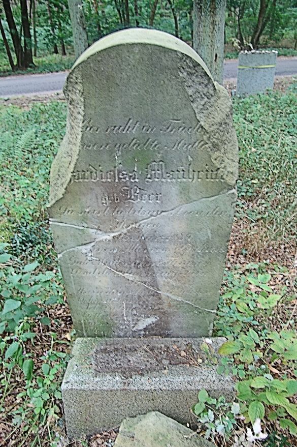 Grabstein Nummer 19 auf dem Friedhof Trzciel (Tirschtiegel)
