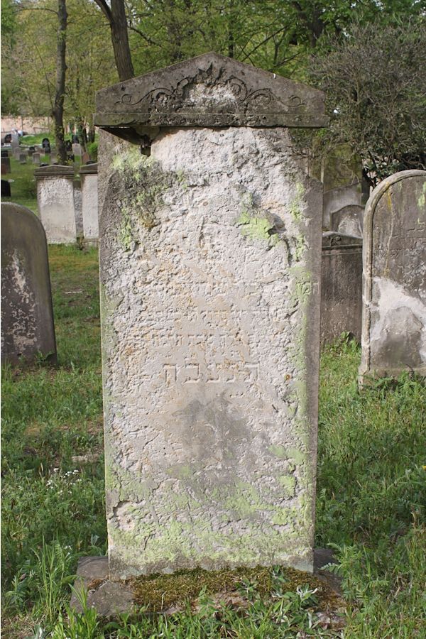 Grabstein Nummer 241 auf dem Friedhof Potsdam