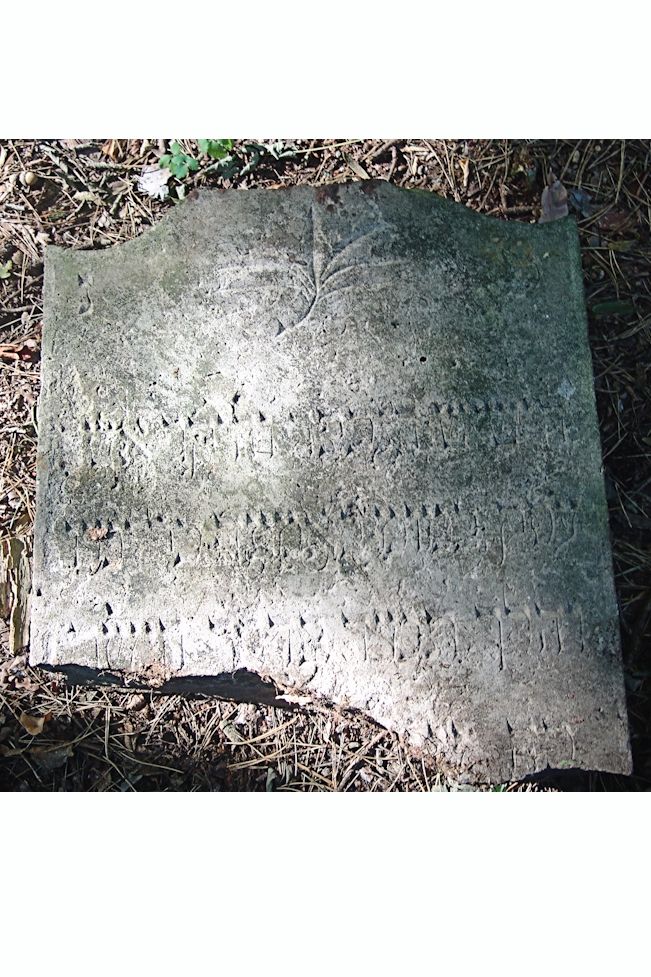 Grabstein Nummer 128 auf dem Friedhof Trzciel (Tirschtiegel)