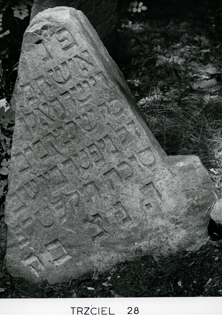 Grabstein Nummer 76 auf dem Friedhof Trzciel (Tirschtiegel)