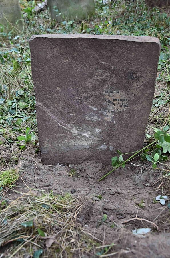 Grabstein Nummer 78 auf dem Friedhof Trzemeszno Lubuskie (Schermeisel)