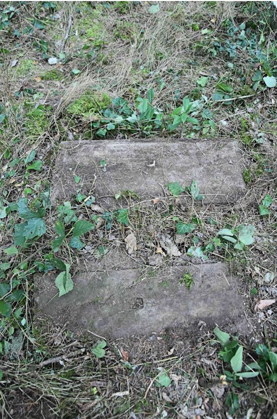 Grabstein Nummer 119 auf dem Friedhof Trzemeszno Lubuskie (Schermeisel)