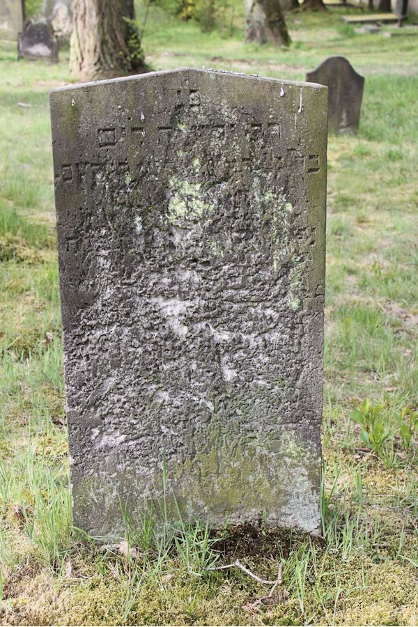 Grabstein Nummer 156 auf dem Friedhof Potsdam