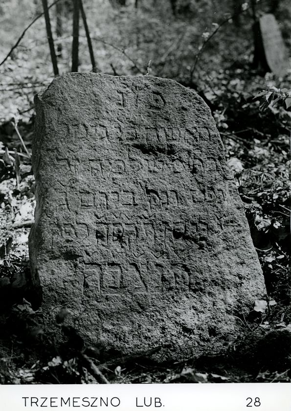 Grabstein Nummer 20 auf dem Friedhof Trzemeszno Lubuskie (Schermeisel)