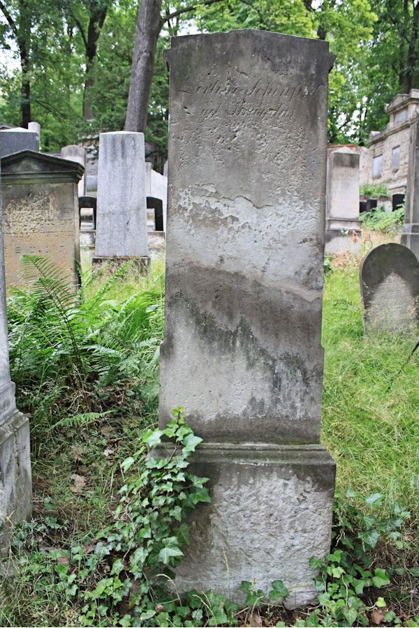 Grabstein Nummer 226 auf dem Friedhof Potsdam